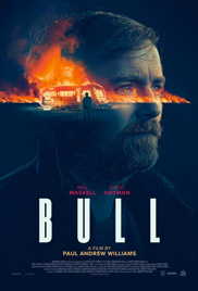 Bull